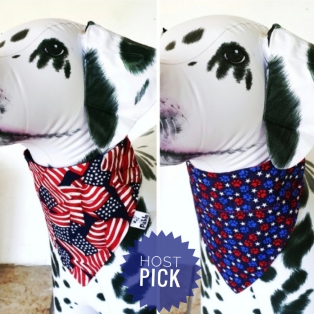 🐶 5 for $15 * Pablo Reversible Patriotic Over The Collar Dog Bandana